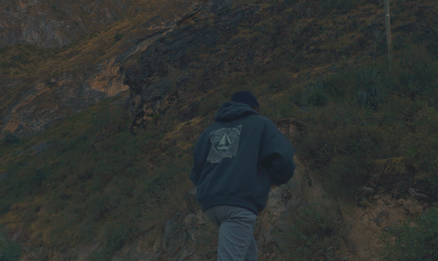 Hoodie Psychedelic Dreams